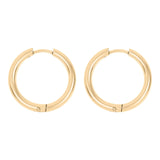 Nicole 18K Gold PVD and Stainless Steel PVD Simple Hoop Earrings