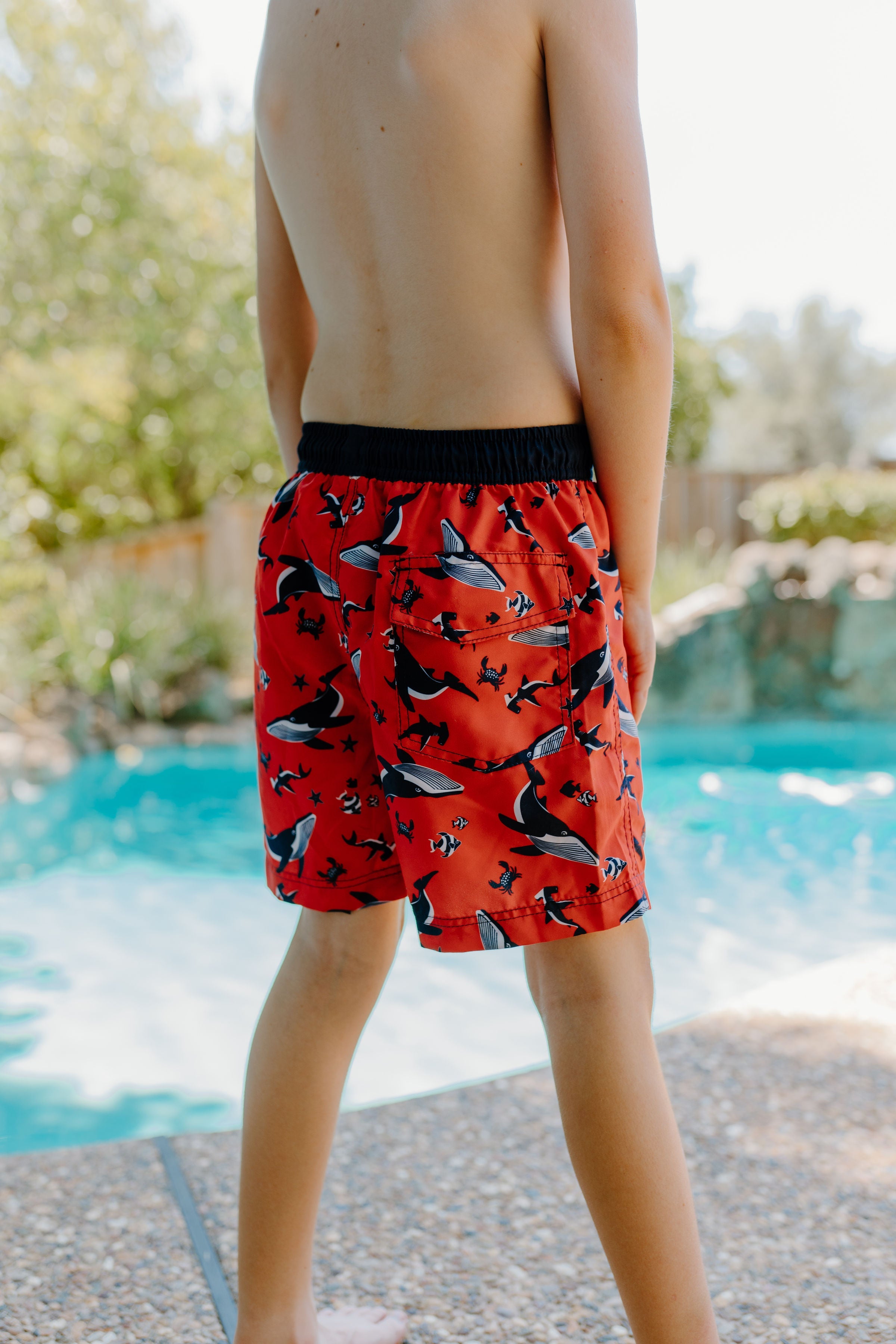 Toddler Board Shorts - MTT Collective